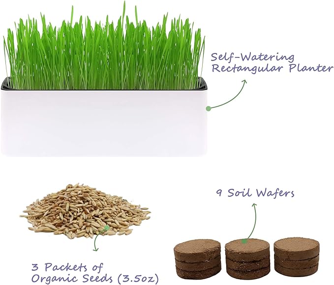 Cat Grass for Indoor Cats with Organic Cat Grass Seed Mix - Rectangular Planter | Fresh Indoor Cat Grass Garden | Perfect for Cats, Dogs & Small Pets
