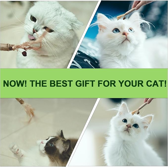 Silvervine Sticks for Cats (6 Pcs),Natural Catnip Sticks,Cats Chew Dental Treat,Cats Toy Wand Interactive, Catnip Toys,Teething Toys for Kittens, timber