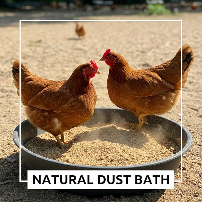 Chicken Sand – 20 lb Resealable Bag – Natural Fresh Water Sand for Coops and Dust Baths – Helps Maintain a Dry, Clean Environment and Supports Digestion