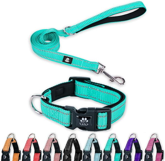 FURRYFECTION Reflective Dog Collar and Leash Set with Quick Release Buckle, Padded with Neoprene Adjustable Nylon Dog Collar for Small Medium and Large Dogs (Large Collar+5FT Leash, Teal)
