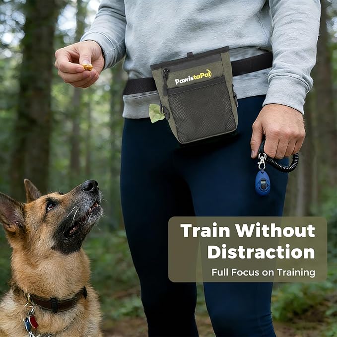 Dog Treat Pouch for Pet Training, One-Hand Magnetic Closure, Hands-Free Treat Bag with Silicone Liner, No Mess No Smell