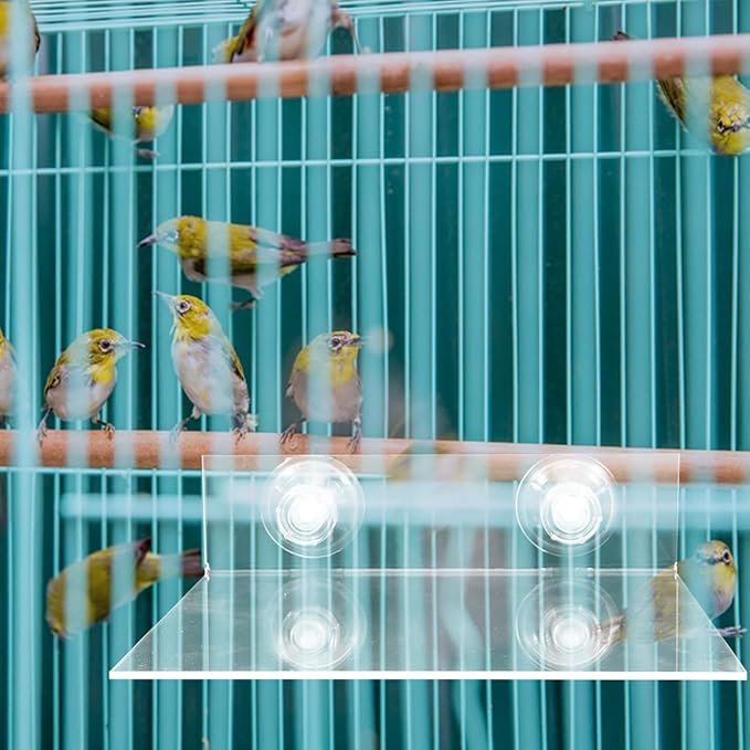 HANABASS Suction Cup Parrot Stand Platform Portable Acrylic Bird Perch for Windows Showers and Walls Flat Bird Stand for Small to Medium Parrots Parakeets Cockatoos and Macaws