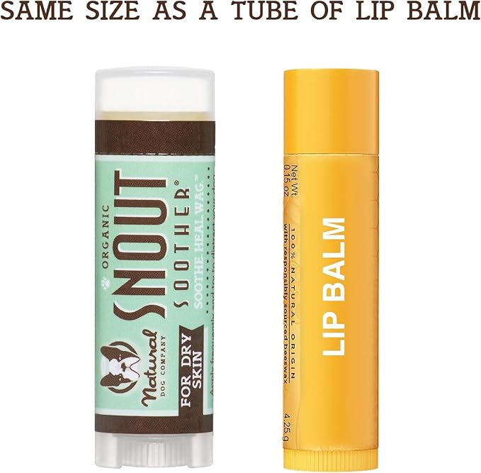 Natural Dog Company Snout Soother Dog Nose Balm 4-Pack – Moisturizing Care for Dry, Crusty, Cracked Noses with Coconut Oil & Shea Butter, Lick Safe Dog Snout Balm for All Breeds – 0.15 oz Travel Stick