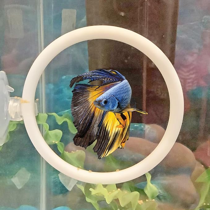 Betta Fish Toys - 4 Training Rings & 2 Bio Filter Balls, Beta Exercise Loop Toys and Nitrifying Balls Set, Betta Fish Tank Accessories Feeding Ring for Small Tank Decor Aquarium Water Conditioner