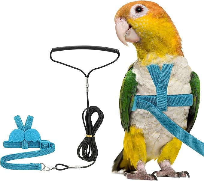Bird Harness Leash, Adjustable Pet Parrot Bird Harness and Leash Lightweight Anti-Bite Flight Training Rope with Cute Wing, (Blue, M), Intended for Parrots/Pigeons/Budgies