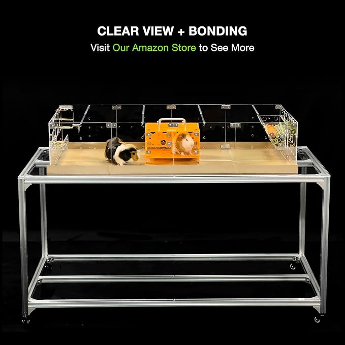 GuineaLoft™ Model-A2 Acrylic Guinea Pig Cage w/Translucent Gauze Lid, Supporting Beams & Connect/Roaming Doors - Large 4x2ft Expandable C&C Cage, Works Also for Bunnies, Button Quails, Hedgehogs