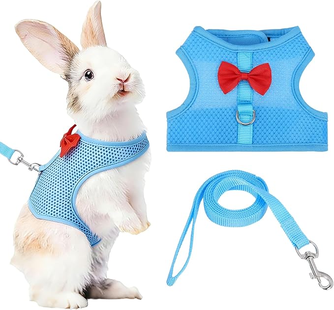 Rabbit Harness and Leash, Small Pet Cute Vest Harness Leash Soft Adjustable Buckle Breathable Mesh (L, Sky Blue) for Bunny Kitten Small Pig Puppies Camping Hiking Training