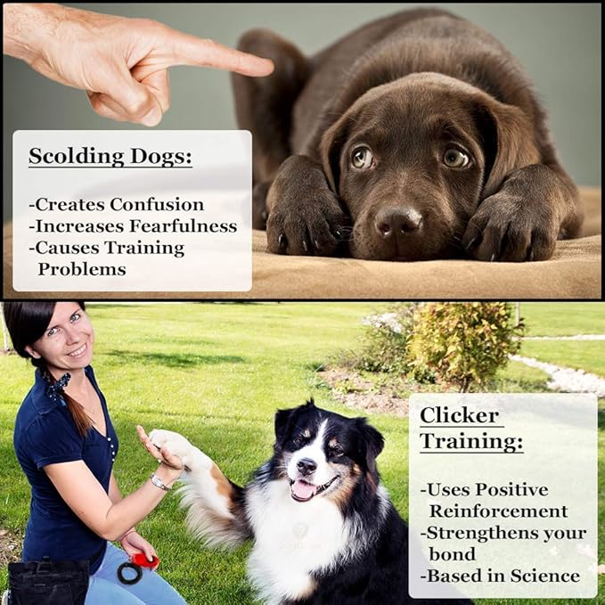 SunGrow Dog Clickers with Black Wrist Bands, 2.4x1.8 Inches, Colorful, Effective Training Tools for Puppy or Cat, Humanized Scientific Professional Design, Perfect Size and Sound, 4 Pack