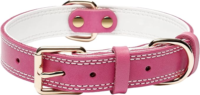 Dog Collar,Genuine Leather Heavy Duty Dog Collar for Small, Medium,Large and Extra Large Dogs (M: 1" Wide for 15.2"-19.2" Neck,Dual Stitch - Pink)