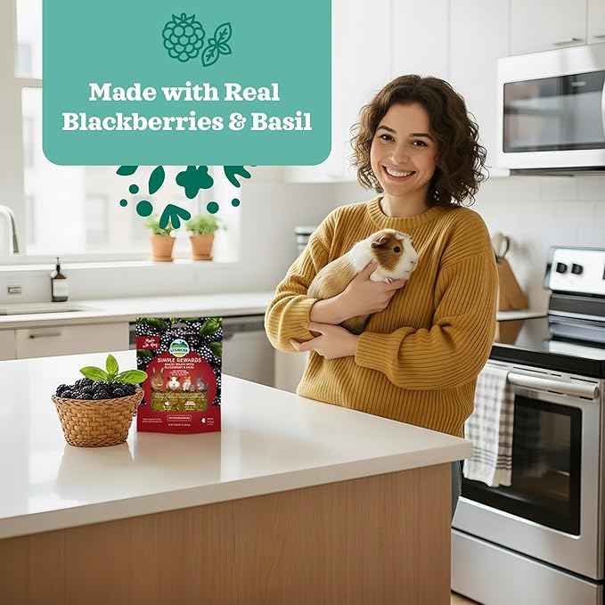 Oxbow Simple Rewards BlackBerry & Basil Treats, Great as Chinchilla, Hamster, Rodent, Guinea Pig & Rabbit Treats, Small Pet Snack, Made with Oxbow Timothy Hay, Made in USA, 3 oz