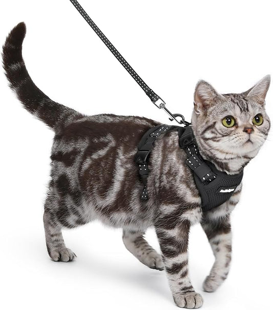 rabbitgoo Cat Harness and Leash, Escape Proof Vest with 3 Adjustable Buckles, Soft Comfortable Kitten Harness, Easy to Wear, Reflective for Safe Outdoor Walking, Small, Black