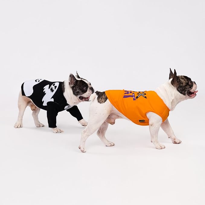 Fitwarm Halloween Ghost Dog Sweater, Funny Costumes for Dogs, Pet Apparel, Black, White, XXL