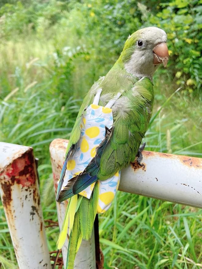 Bird Diaper Harness Flight Suit Clothes, Parrot Flight Suit with Leash, Bird Flying Clothes with Rope and Handle for Outdoor Activities Training (Yellow Without Leash,Large)