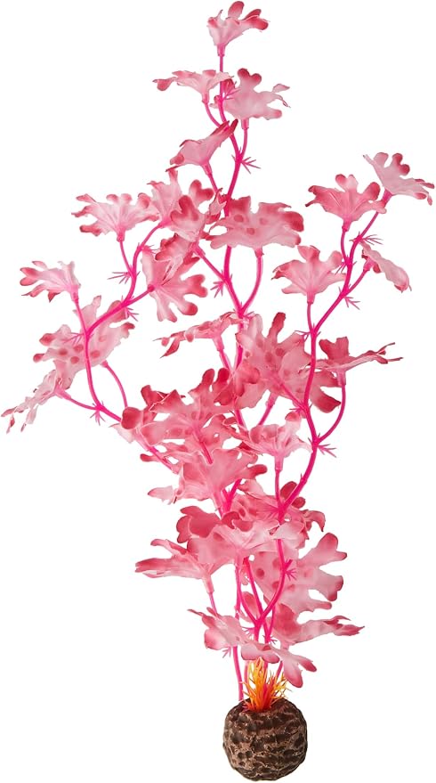BiOrb 46082.0 Kelp Set Medium Pink Aquariums