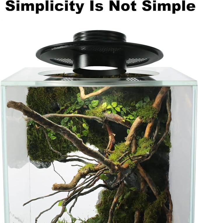 AREPK Glass Terrarium Plant Grow Light with Timer for Vases, 5.9-Inch Lamp | Auto On/Off Timer; Suitable for Glass Terrariums, Betta Fish Tanks, Succulents, Moss, Indoor Plants and Mini Landscapes