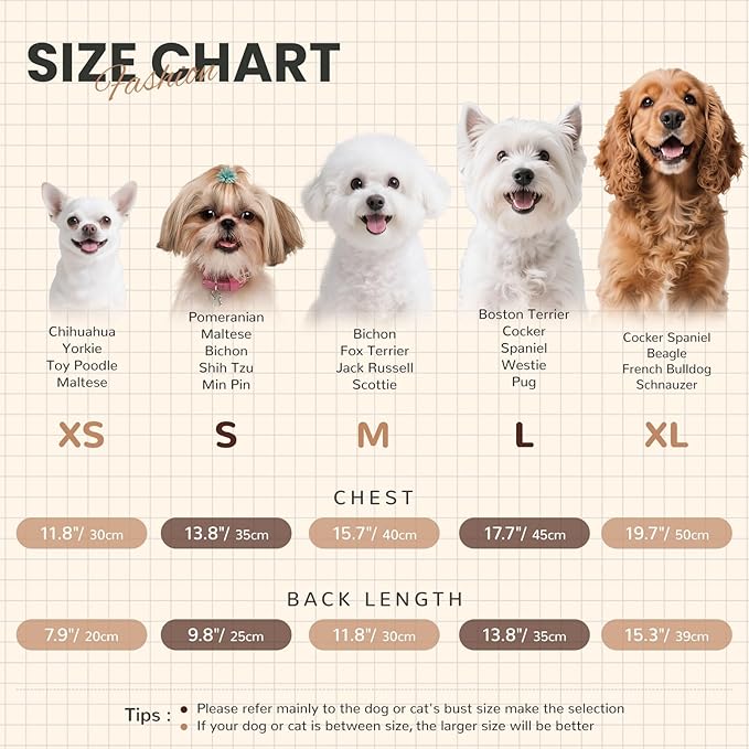 XS Dog Sweater with Cute Bear Pattern, Striped Soft Stretchable Warm Puppy Clothes for Small Dogs Cats, French Bulldog, Chihuahua for Winter(Brown,Medium)