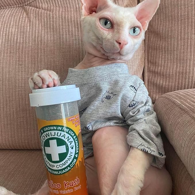 Meowijuana | Catnip Bundles | Organic | High Potency Cat Treats | Perfect for Cat Toys | Grown in The USA | Feline and Cat Lover Approved (Mice Dreams Catnip Bottle Bundle)
