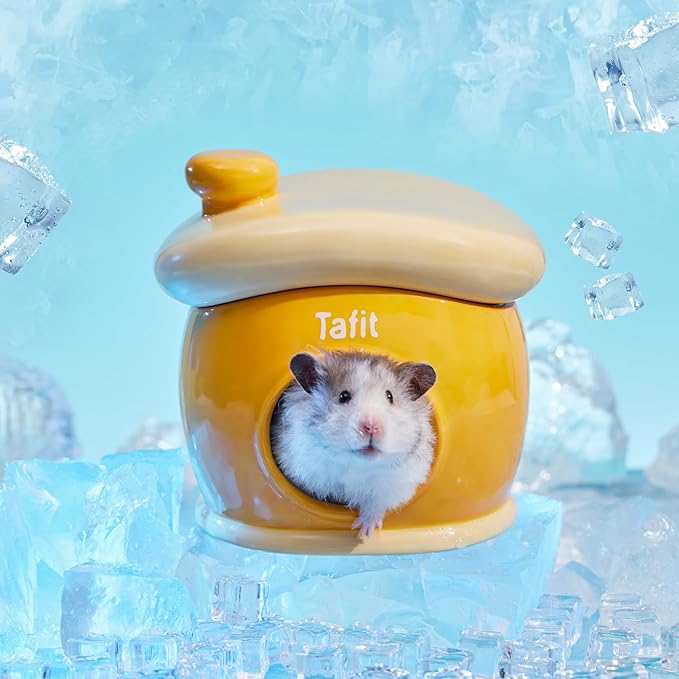 Ceramic Igloo Hamster Hideout - Orange Small Animal Habitat Decor Hut for Syrian & Dwarf Hamsters, Gerbils, Mice, Rats - Four Seasons Home House