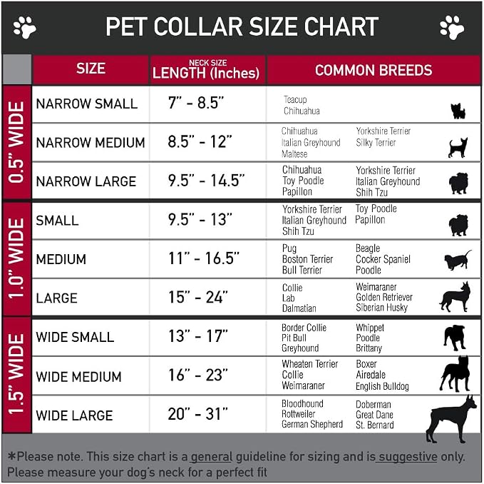 Buckle-Down Dog Collar Plastic Clip Natural Hemp 16 to 23 Inches 1.5 Inch Wide