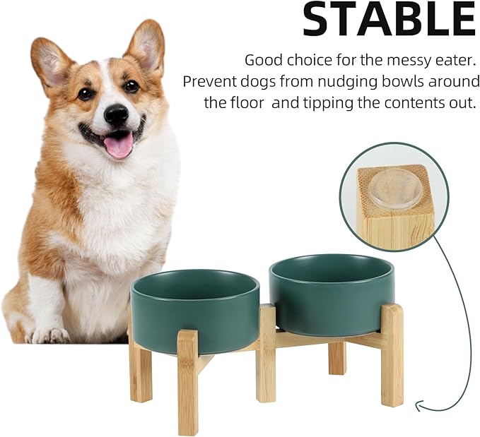 Havniva Ceramic Raised Double Bowls Set with Stand, 2 Heights Elevated, Food & Water Bowls for Small Breed Dogs, Weighted Dog Dishes, Pet Bowl(6.1'',28.7oz, Green)