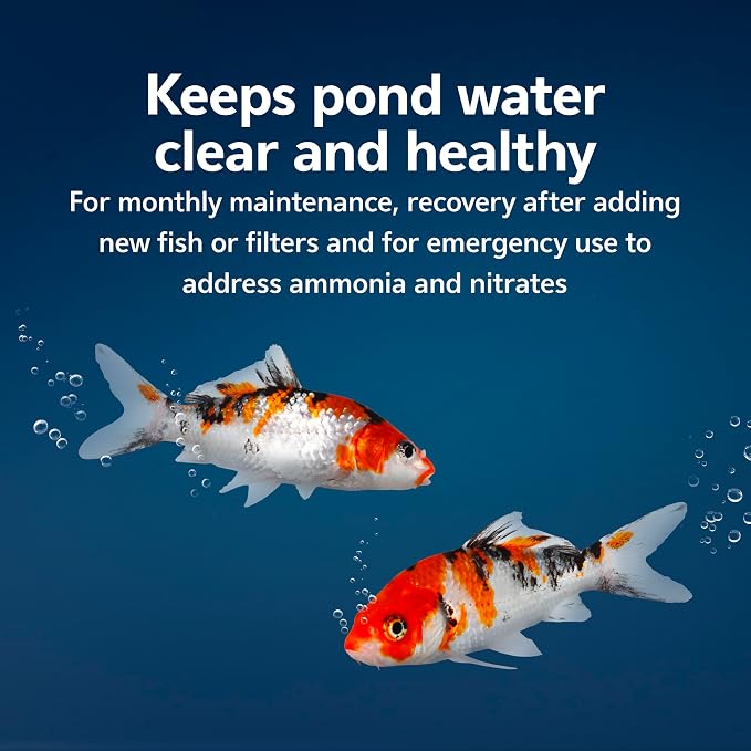 Aqueon Pure Pond Bomb, Reduces Organic Waste, Ammonia and Nitrates, Pond Maintenance and Biological Boost, Treats 2500 Gallons, 1-Pack