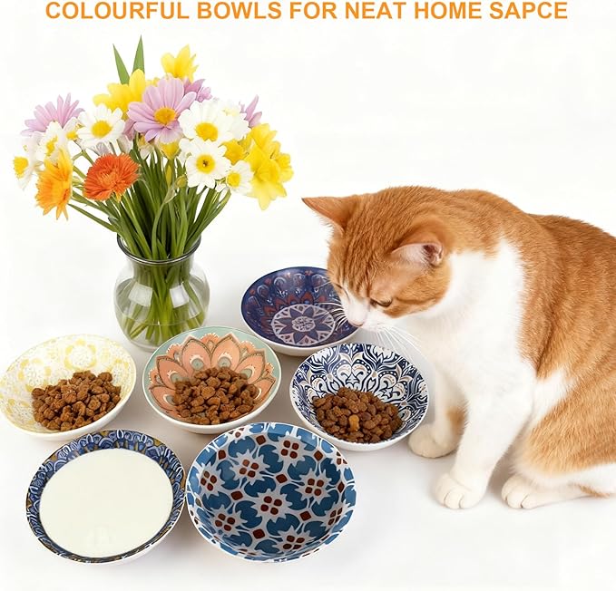 HAPPY KIT Ceramic Cat Food Bowl, Non-Slip Whisker Fatigue Cats Bowl, 5.75” Shallow Dish for Indoor, Boho Whisker Friendly Cat Bowls, Small Kitten Plates with Silicone Bottom