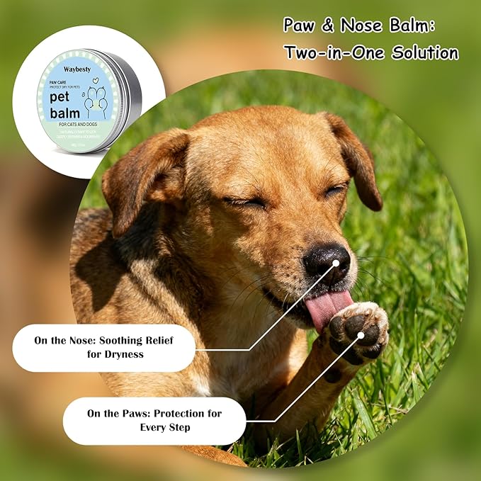 Lick-Safe Dog Paw & Nose Balm with Coconut Oil | 2.3oz Natural Wax, 1 Pcs Dog Paw Cleaner & Towel | Natural Moisturizer for Dry, Cracked Pads & Snout | Winter Snow, Road Salt & Hot Pavement Protector