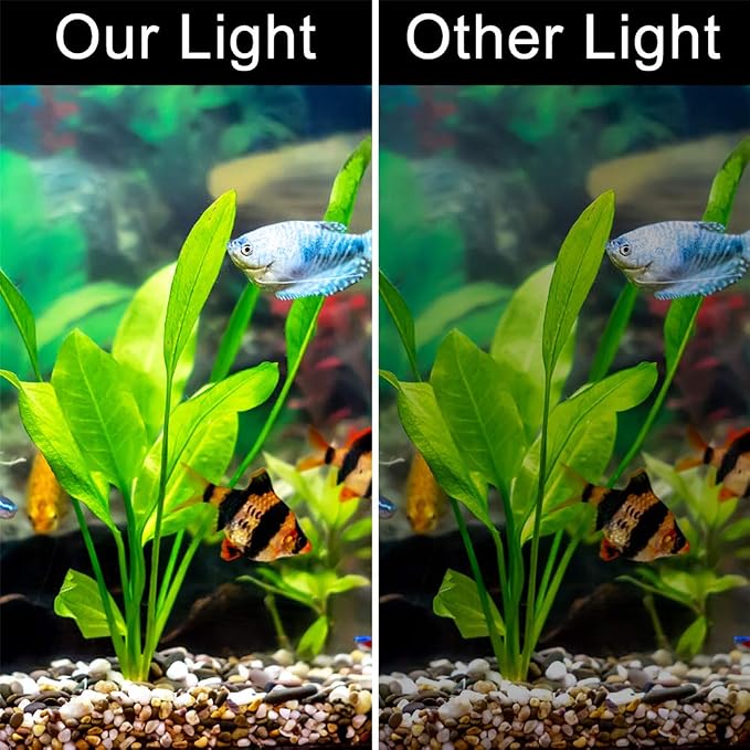 Aquarium LED Clip-On Light, White | Fan Shape, 600lm Ultra Bright, 5W, 110V 50-60HZ，12 LED, 5730 lamp Bead，Power Saving，Independent Switch Controller，ABS