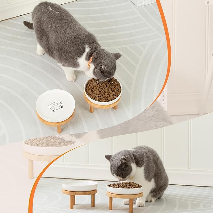 Lusifaco Shallow Elevated Cat Bowls,5.9 Inch Wide Raised Ceramic Cat Dishes with Bamboo Stand, Whisker Friendly Pet Water or Food Plates Feeding Station for Indoor Cats, Kitten(Grey,Set of 1)
