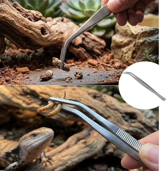 Reptile Cleaning Kit 9PCS, Terrarium Cleaning Tools Set with Scraper, Brush, Tweezers & Sponge, Tank Maintenance Kit for Bearded Dragon, Gecko, Snake Habitat Supplies