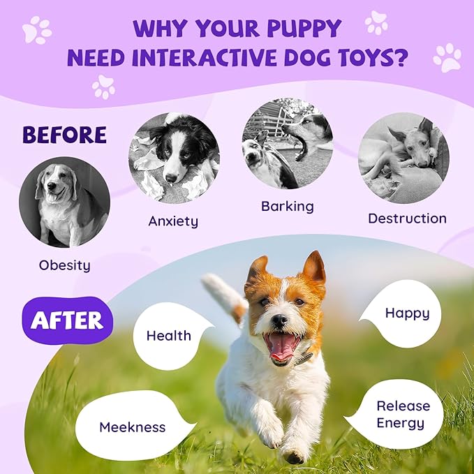 Moving Dog Ball, Jumping Squeaky Interactive Dog Toys, Plush Chew Toys for Small Dogs, USB Rechargeable (Purple)