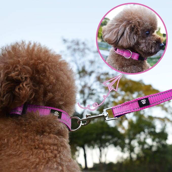 NESTROAD Dog Collar and Leash Set,Reflective Dog Collars with Quick Release Buckle,Adjustable Nylon Pet Collar for Small Medium Large Dogs(Medium,Fuchsia Pink)