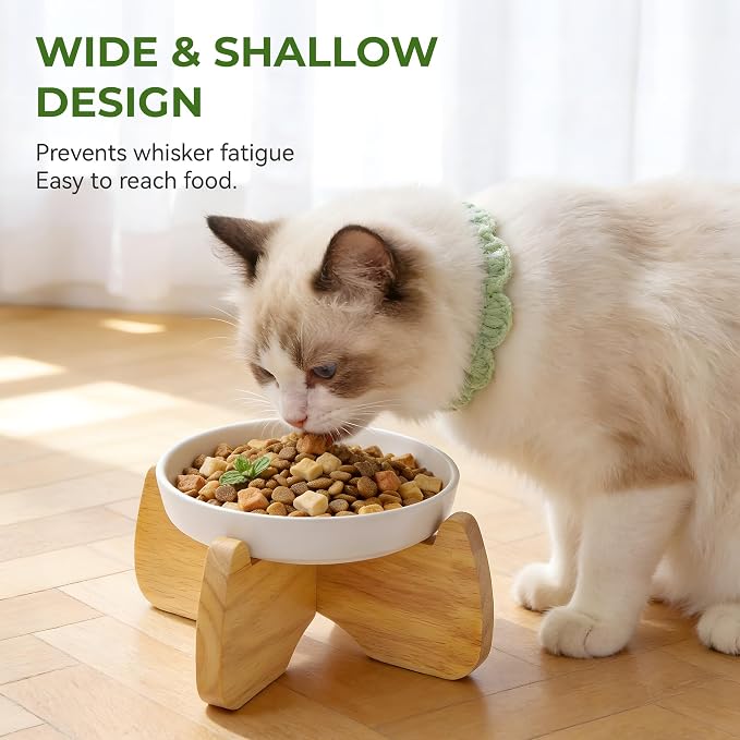 Raised Ceramic Cat Bowl 6.3" Wide Shallow Flat Bottom (1 Pack) | Neck Protective, Anti Whisker Fatigue, Anti Vomit, Dishwasher Safe, For Dry and Wet Food, For Kittens & Seniors
