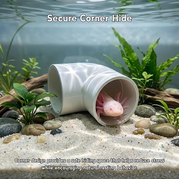 Axolotl Hide Tube with Feeding Dish & Silk Plant, 3-Piece Aquarium Set | Fish Tank Cave Decor for Axolotls, Shrimp & Small Fish, Includes Artificial Plant and Feeding Bowl (White, Large)