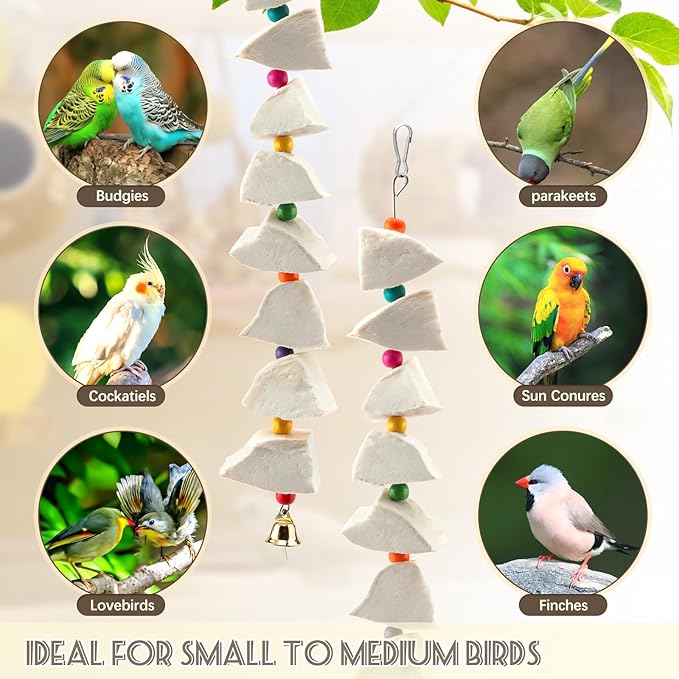 2 Pack Bird Cuttlebone Chew Toys, Cuttlefish Bone for Birds Beak Grinding Stone, Natural Calcium Supplement Cage Accessories for Parakeets, Budgies, Cockatiels, Lovebirds, Small Medium Birds