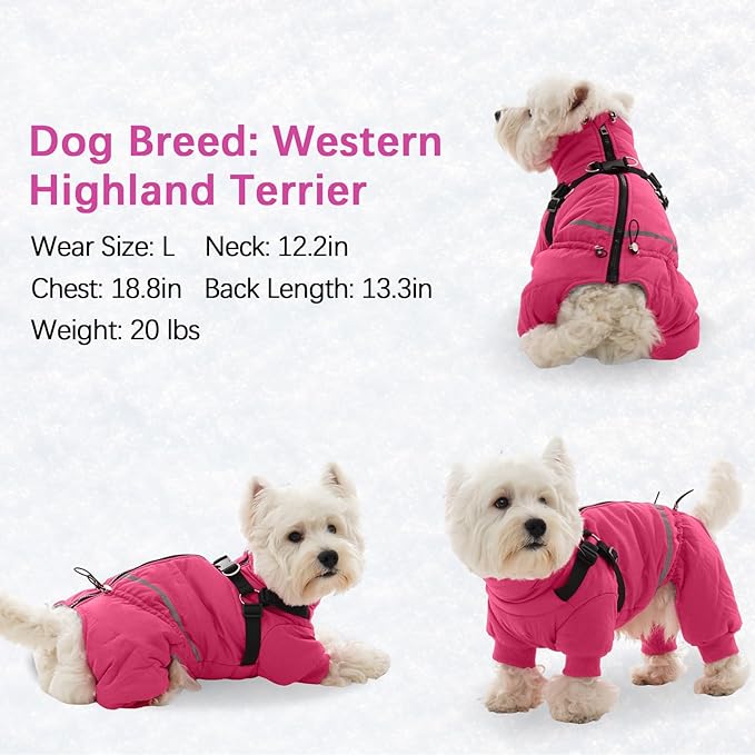 BRKURLEG Dog Winter Coat with Harness Built in, Winter Dog Jacket for Small and Medium Dogs, Small Dogs Snowsuit Reflective Windproof Cold Weather Coat, Puppy Warm 100% Polyester Coats, Hot Pink, M