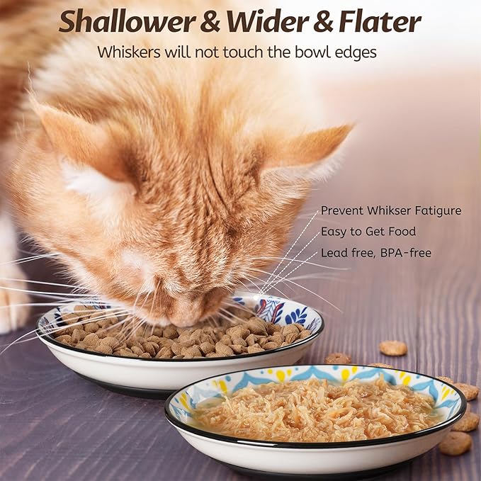 WROSWT Non-Slip Cat Bowl,Ceramic Cat Food Bowls with Silicone Bottom, Anti-Whisker Fatigue Cats Dishes Set, Shallow & Wide Kitten Plates for Food and Water, 4 Pack