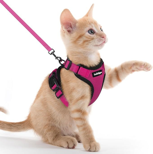 rabbitgoo Cat Harness and Leash for Walking, Escape Proof Soft Adjustable Vest Harnesses for Cats, Easy Control Breathable Reflective Strips Jacket, Rose Red, XXS