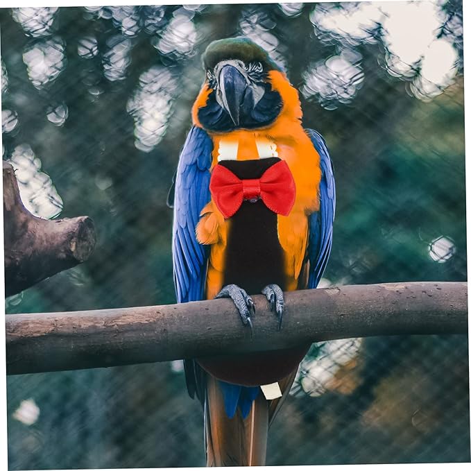 Toyvian Washable Reusable Bird Diaper Parrot Flight Suit with Bow Tie Decorative Clothes for Budgie Parakeet Cockatiel Pet Birds Breathable Comfortable Nappies