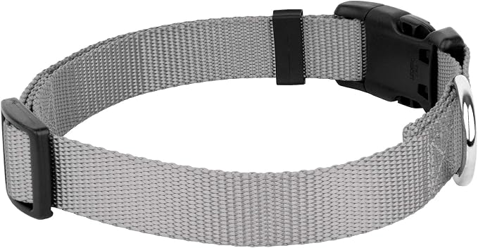 Country Brook Petz - Everyday Nylon Dog Collar and Leash - 10+ Cool Colors (3/4 Inch, Medium, Silver)