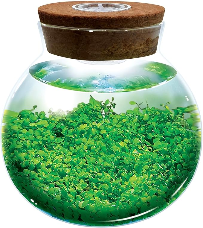 WaterPlants- Create Your Own Lush and Soothing Aquascape Terrarium Starter Kit, Indoor Plant Glass Globe Terrariums with Powerful 3 LED Light and Complete Supplies, Just Add Water!