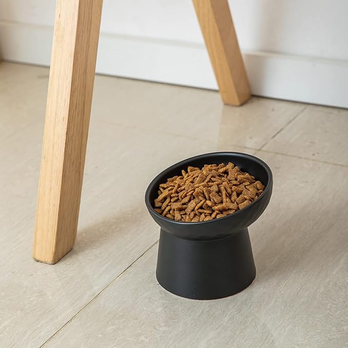 Small Ceramic Raised Cat Bowls, Tilted Elevated Food or Water Bowls, Stress Free, Backflow Prevention, Dishwasher and Microwave Safe, Lead & Cadmium Free(Black)