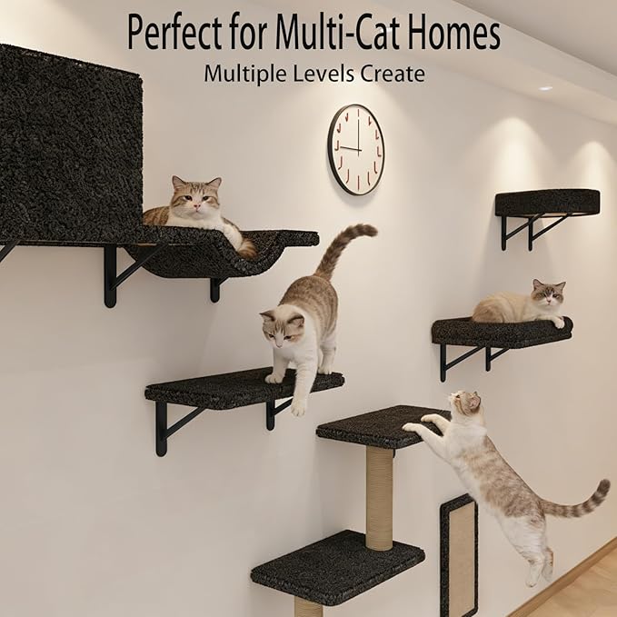 Cat Wall Shelves, 10-Piece Complete Cat Wall Furniture System with Perches and Scratching Posts, Stable Floating Climbing Set for Large Indoor Cats, Space Saving Kitty Furniture - Dark Gray