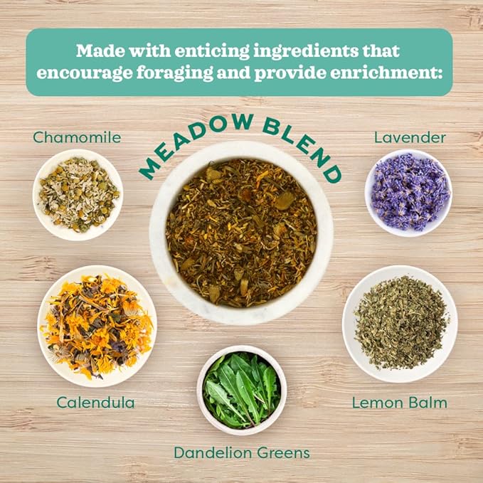 Oxbow Hay Toppers Meadow Blend, Bunny Treats, Foraging Enrichment for Rabbits, Chinchillas, Guinea Pigs, and Other Small Herbivores, Timothy Hay Topper, Premium Rabbit Food Additive, 2oz