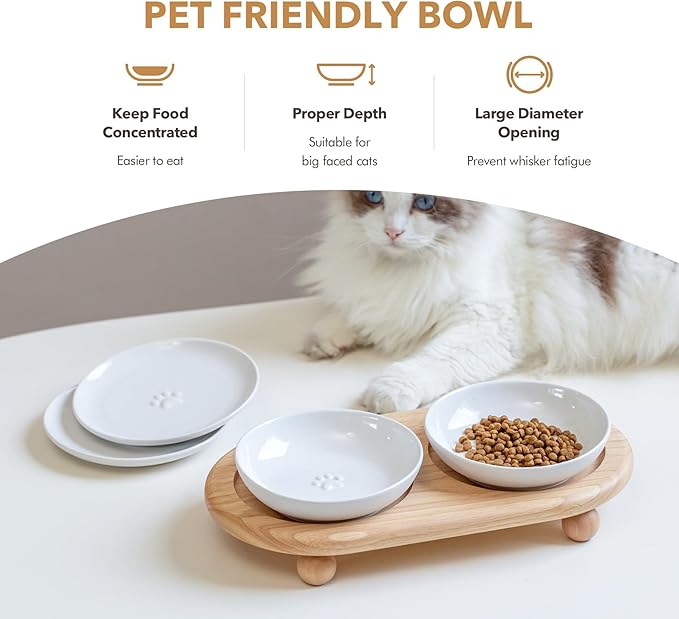Havniva Elevated Cat Bowls, Ceramic Cat Food Bowl Whisker Friendly Cat Dishes, Kitten Food & Water Bowl with Two Heights Stand, Anti-Slip Raised Cat Food Plates