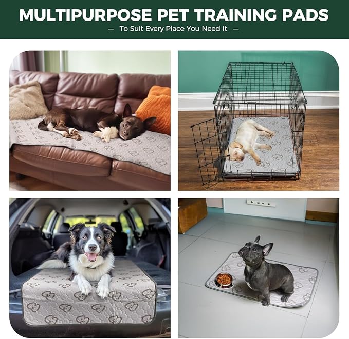 FXW Washable Pee Pads for Dogs, Puppy Pads with Super Absorbent, Specifically Designed for Potty Training, 35" Square, Khaki, 2 Packs