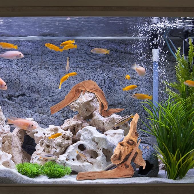 Toddmomy Aquarium Driftwood 4 Pc Set Fish Tank Decorations for Freshwater Aquascaping Small Aquarium Decor Natural Wood for 7.48 X 3.54 X 3.14 in