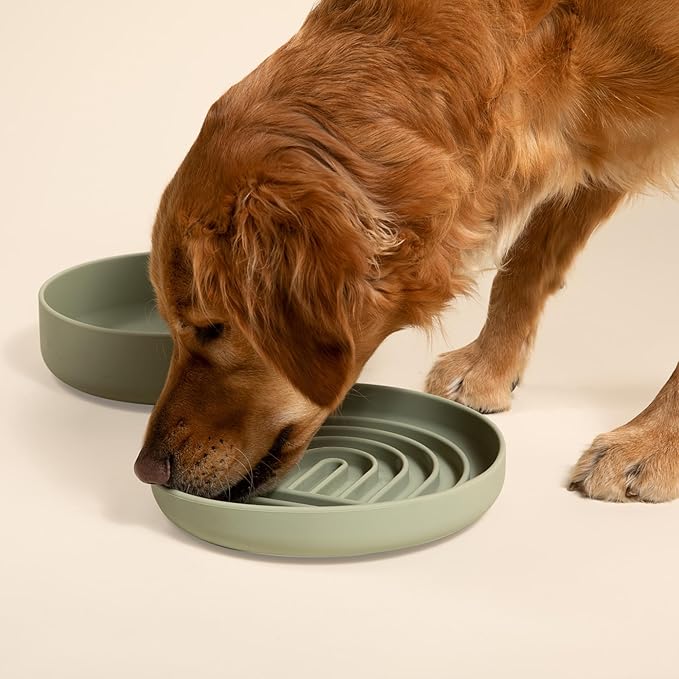 Should We Go? Slow Feeder for Dogs & Puppies, The Slowdown Bowl Silicone Slow Eating, Modern Lick Mat Design, Reduces Gulping, Fits 2.5 Cups, 9.5” Across x 1.5” Tall, Mealtime Challenge, Large-Sage