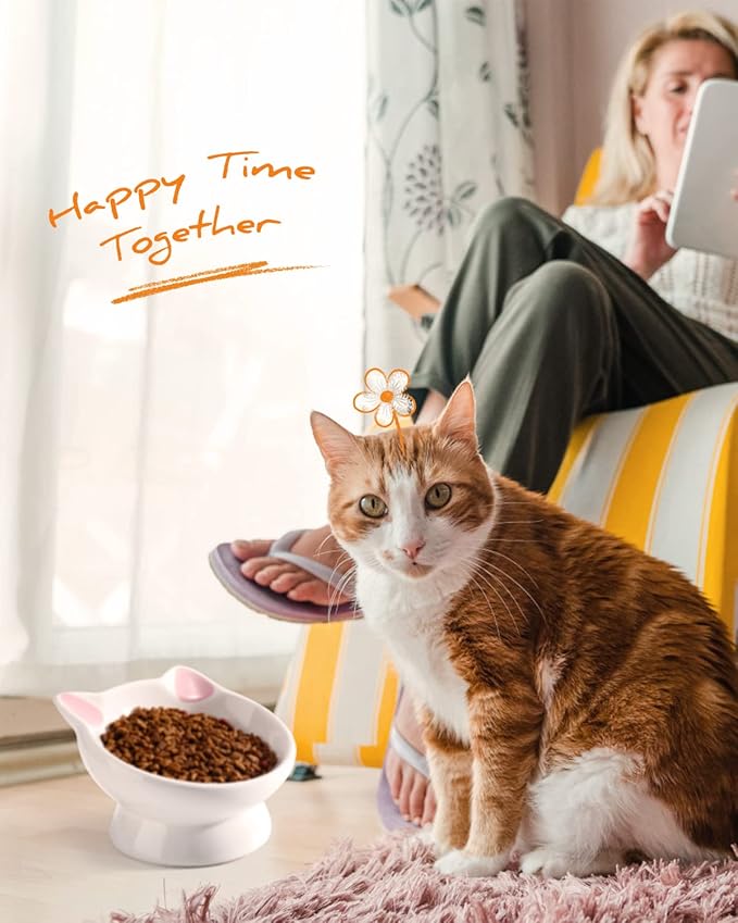 2Pcs Raised Cat Food Bowl Ceramic 15° Tilted Cat Food Bowls Protect Cat's Spine Anti Vomiting Backflow Prevention Bowls for Adult, Kitten, and Small Dogs, Pink
