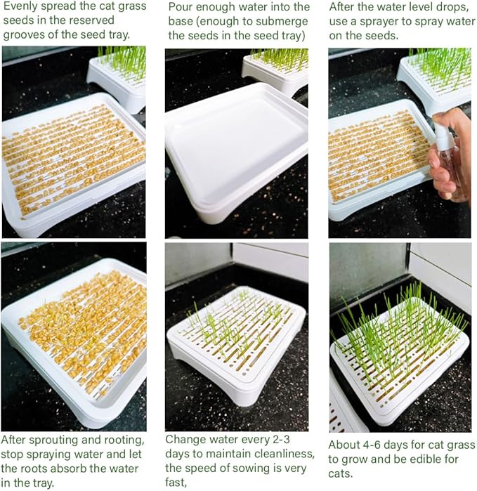 2-Pack Cat Grass Planter (No Seeds Included), Tri-Section Design, Anti-Pull Out Cat Grass Seed Starter Tray, Sprouts Growing Kit, Microgreens Growing Trays